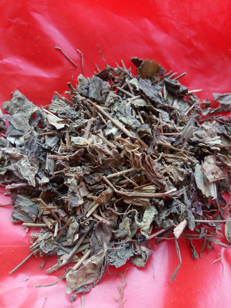 肺形草，蝴蝶草千余品种供应承接订单