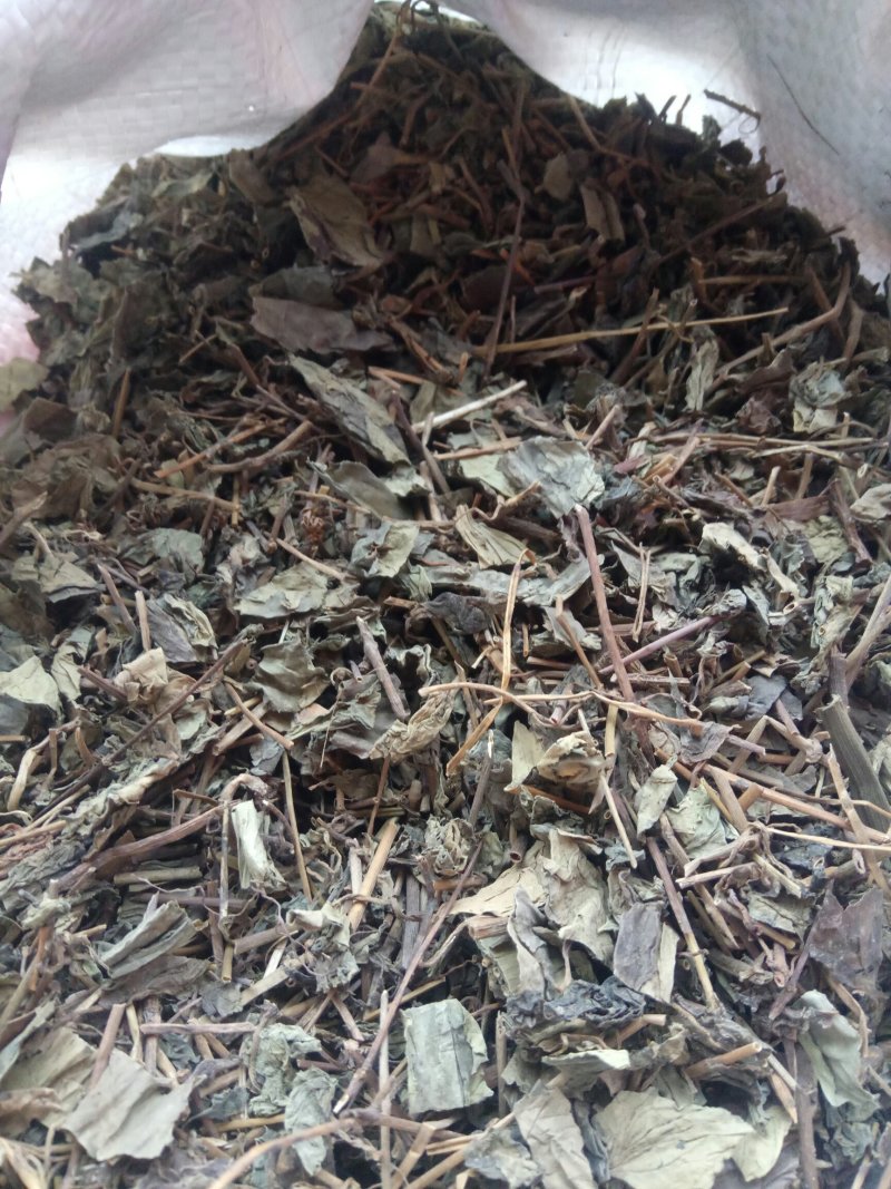 肺行草蝴蝶草千余品种供应承接订单