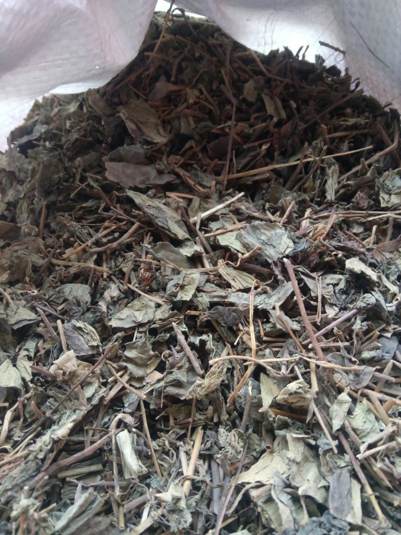 肺行草蝴蝶草千余品种供应承接订单