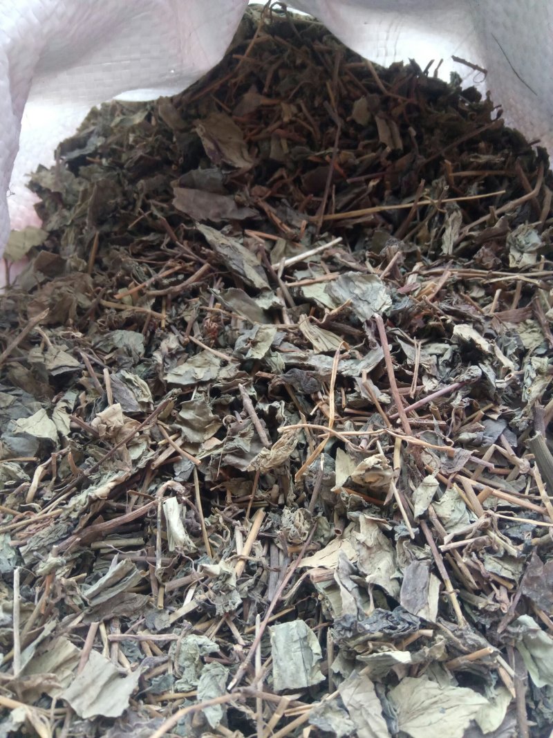 肺行草蝴蝶草千余品种供应承接订单