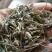 肺行草蝴蝶草千余品种供应承接订单