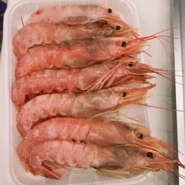 阿根廷红虾
