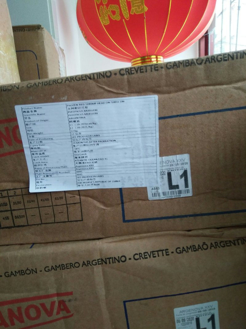 阿根廷红虾