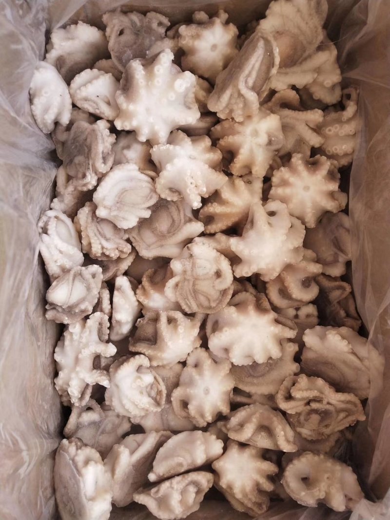翻花小八爪鱼+处理干净的