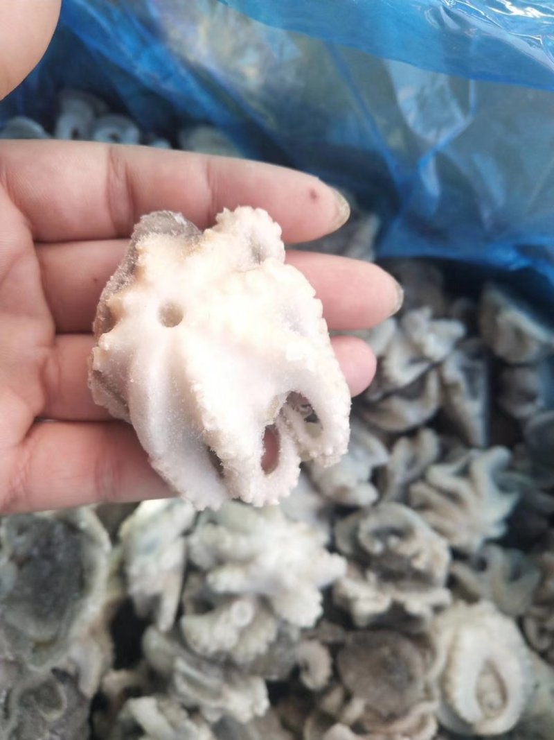 翻花小八爪鱼+处理干净的