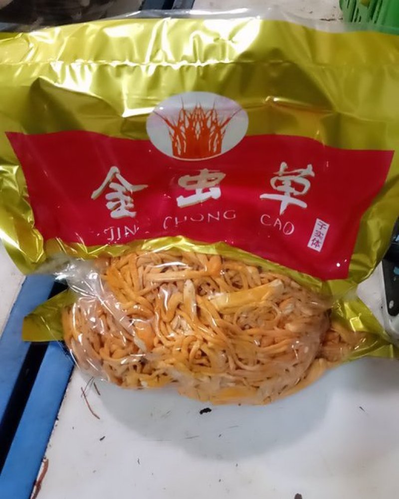 鲜虫草花，北虫草