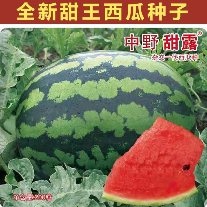 甜王西瓜种子中野甜王早熟红心皮薄不裂高产抗病甜度14原装