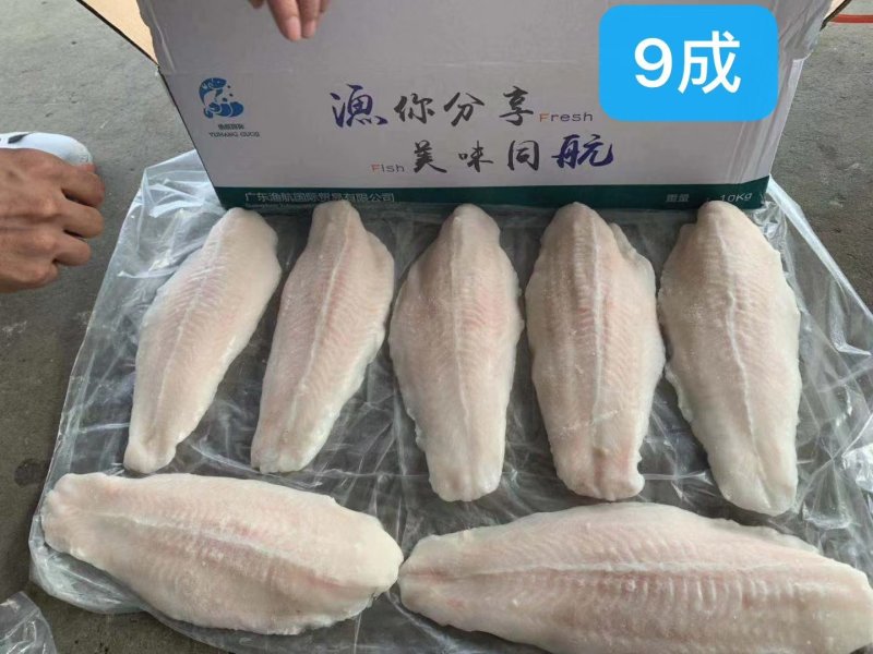 越南正关一手巴沙鱼