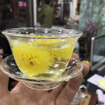 皇菊菊花茶黄菊花菊花花茶包邮