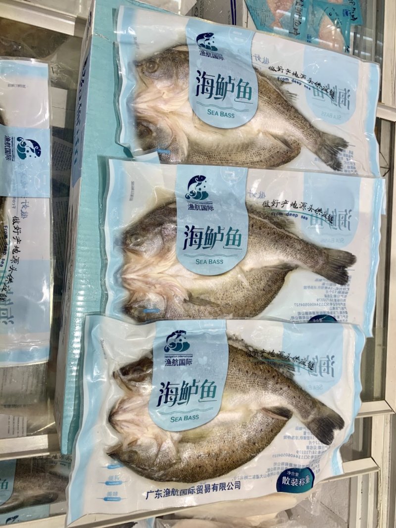 广东白蕉海鲈鱼