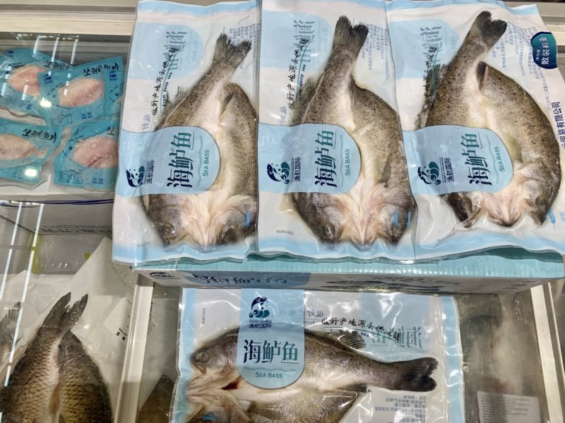 广东白蕉海鲈鱼