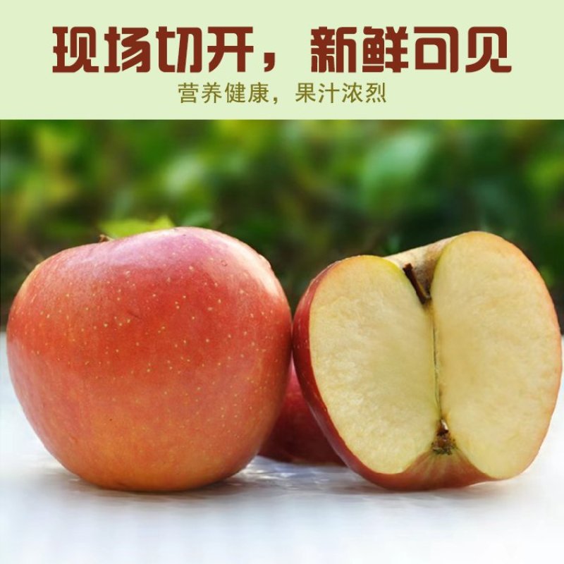 【有好货】陕西洛川冰糖心红富士苹果现摘现发电商供货包邮