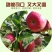 【有好货】陕西洛川冰糖心红富士苹果现摘现发电商供货包邮