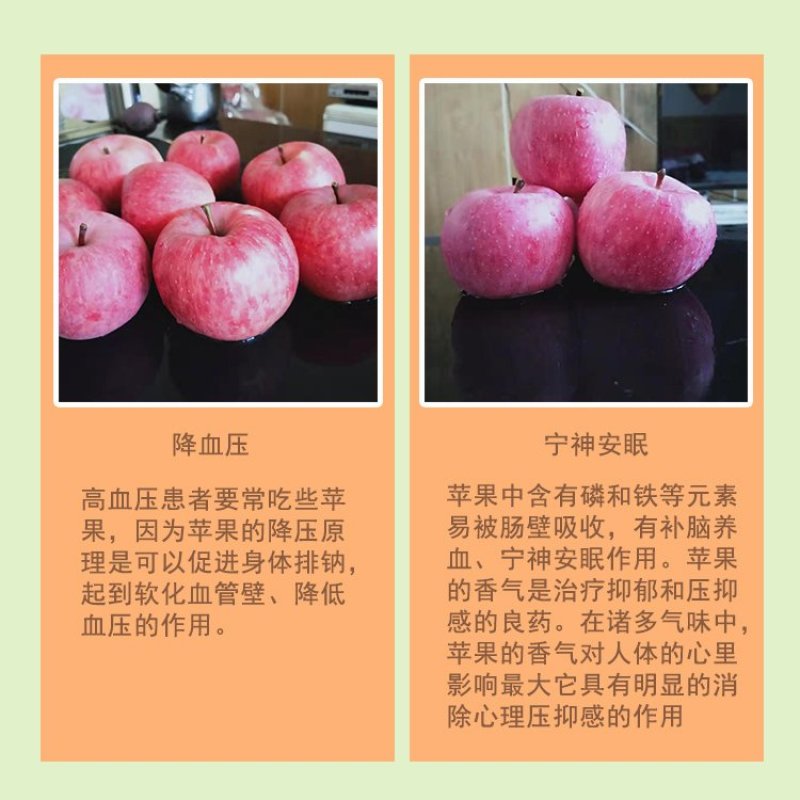 【有好货】陕西洛川冰糖心红富士苹果现摘现发电商供货包邮