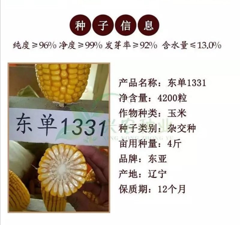玉米种子东单1331大田菜园高产易种国审杂交黄粒大棒