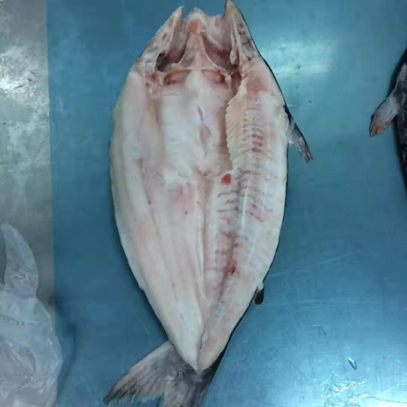 巴沙鱼