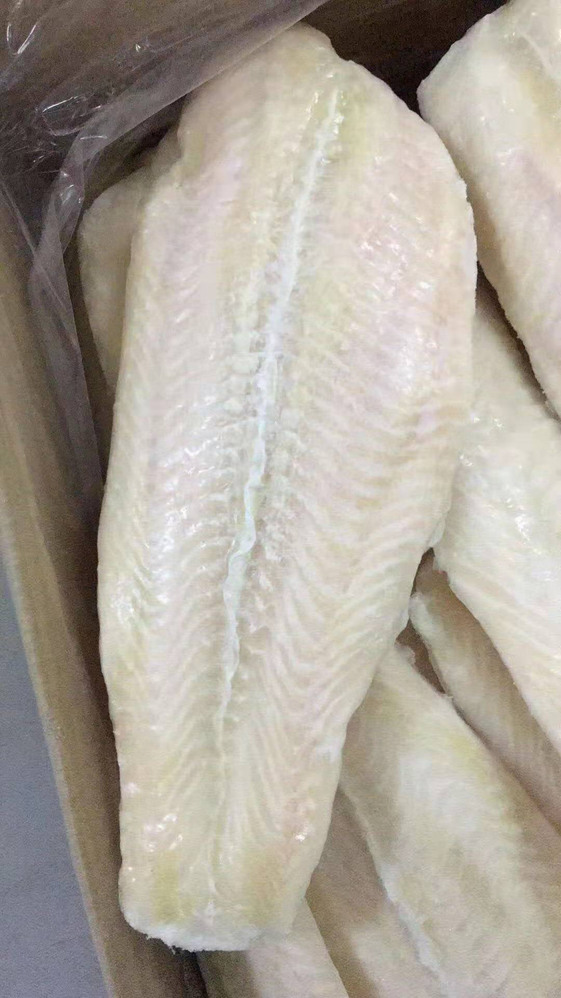 巴沙鱼