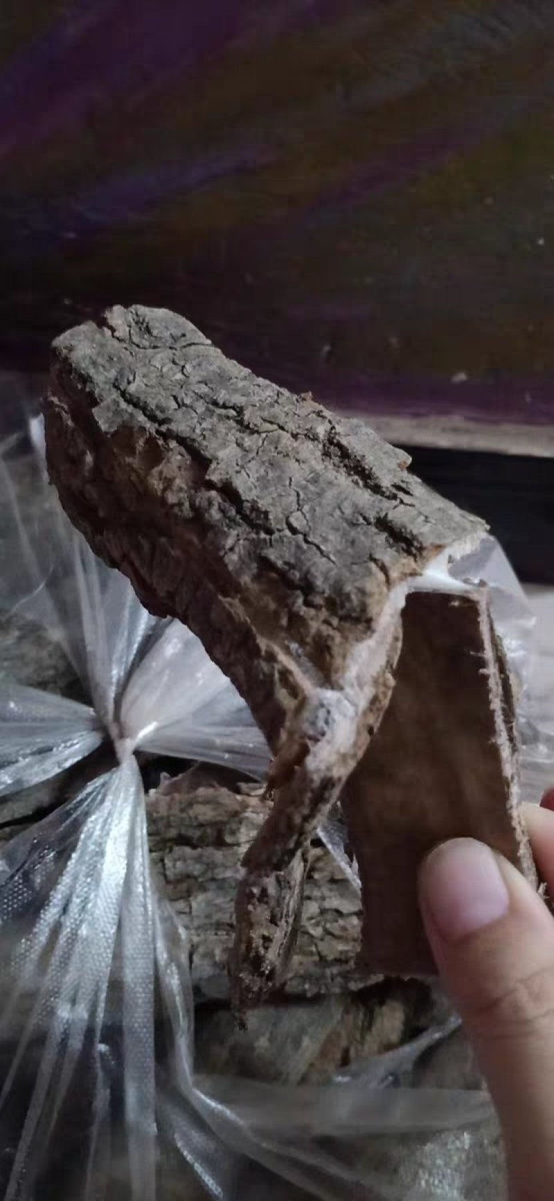 杜仲杜仲皮略阳杜仲秦岭老树杜仲皮农家初选