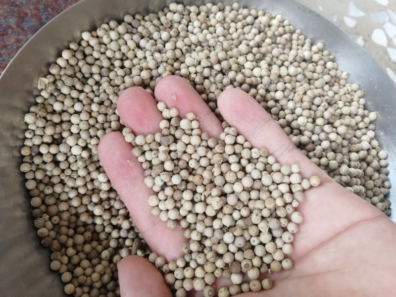 批发进口白胡椒海南白胡椒