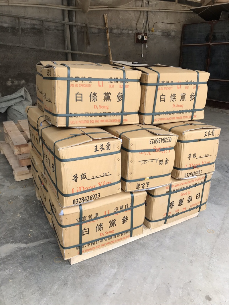【产地直供】甘肃白条党参把量大从优长期供应