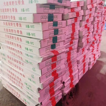 海鲜批发大连当地刀鱼肉质鲜美，价格优惠