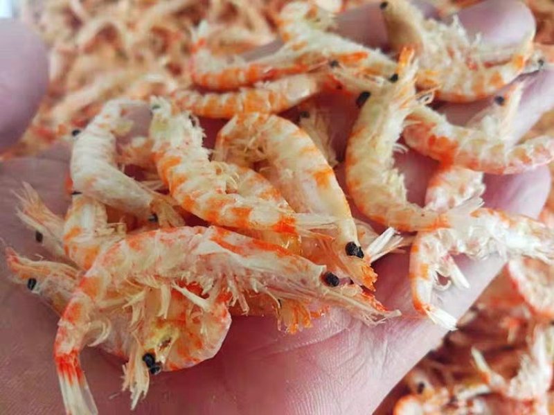 网红鳞虾皮红虾皮带肉虾皮一箱9斤量大从优