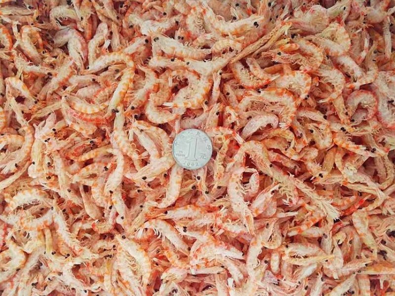 网红鳞虾皮红虾皮带肉虾皮一箱9斤量大从优