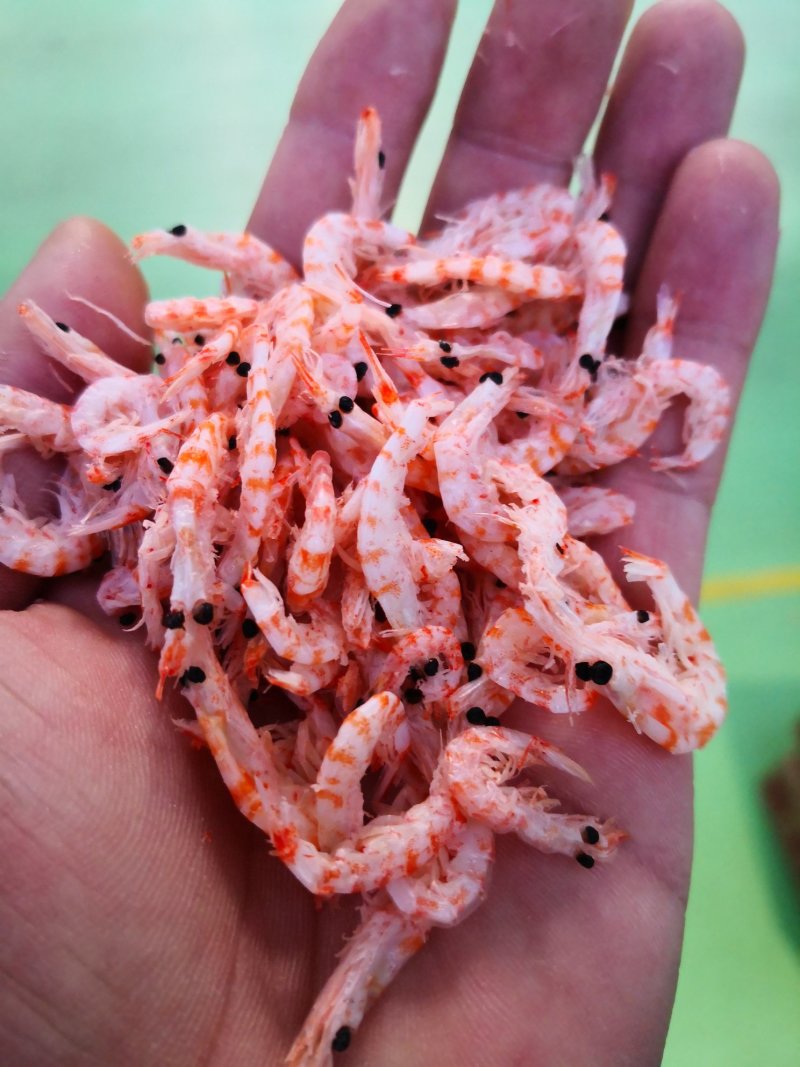 网红鳞虾皮红虾皮带肉虾皮一箱9斤量大从优