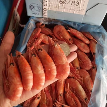 海鲜批发正宗格陵兰北极虾，全是精品，没有黑头，头籽头籽头