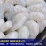 海鲜批发极品虾仁，含冰量特别少，个头大，烫完不缩水！！