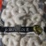 海鲜批发极品虾仁，含冰量特别少，个头大，烫完不缩水！！