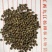 山乌桕种子,红叶乌桕种子,长叶乌桕种子新货
