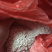2019江西农家纯手工红薯粉丝，无添加剂，丝滑柔软。