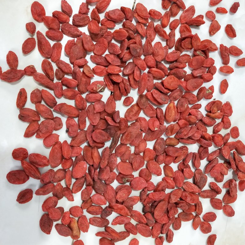 标准120粒前期货枸杞王特大枸杞