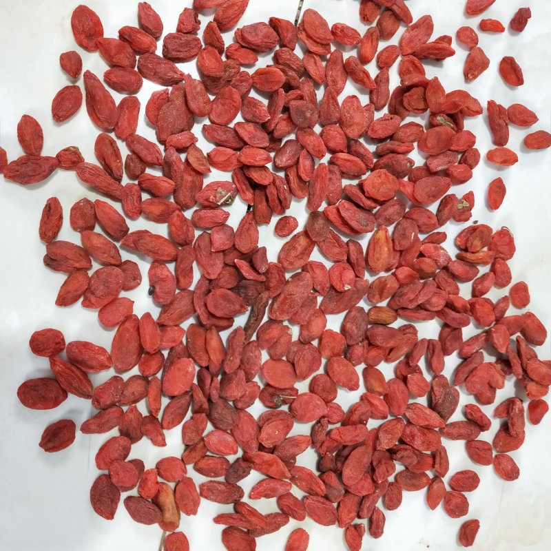 标准120粒前期货枸杞王特大枸杞