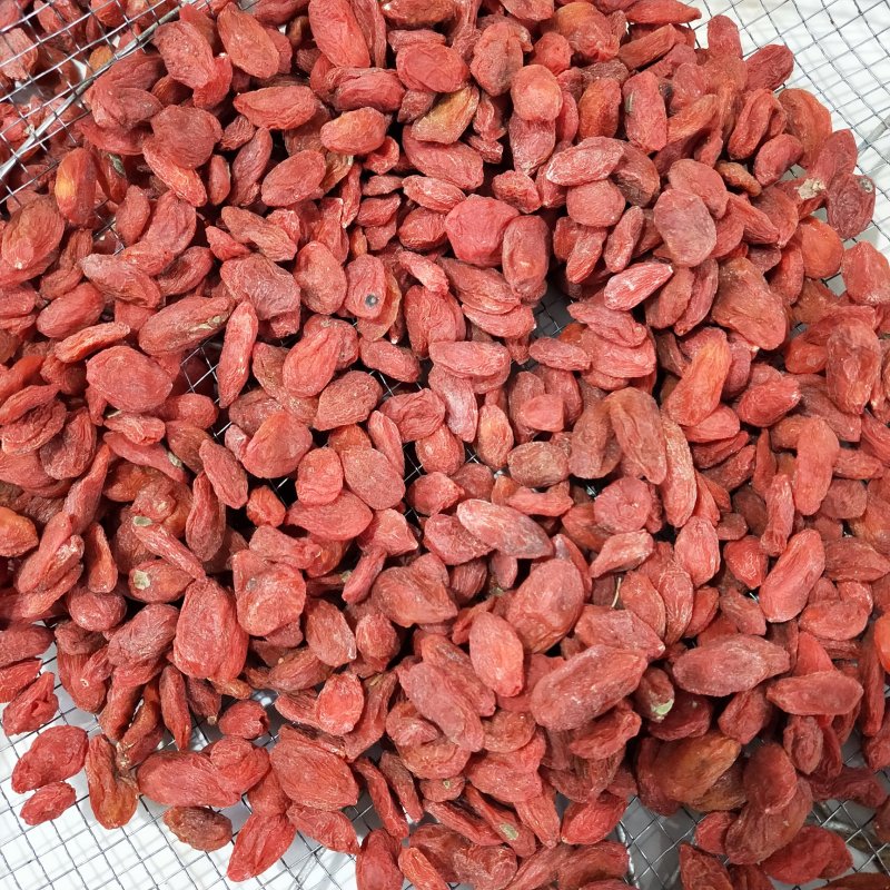 标准120粒前期货枸杞王特大枸杞