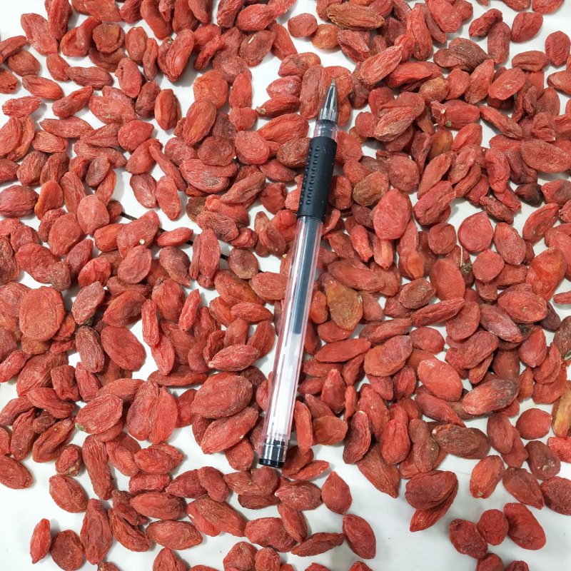 标准120粒前期货枸杞王特大枸杞