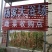 代收各种蔬菜