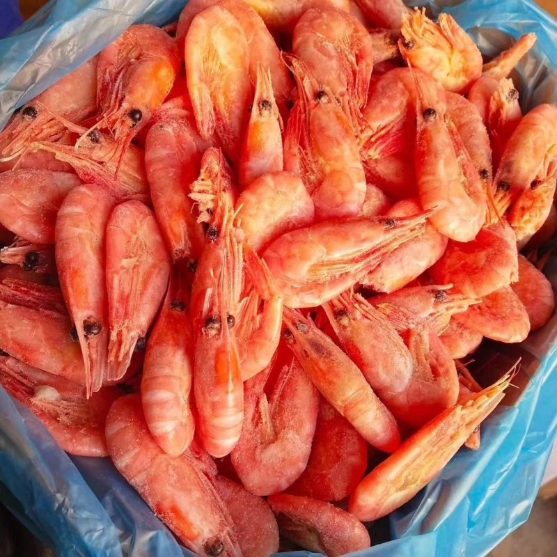 北极熊北极虾冰虾