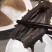 万福堂即食海参