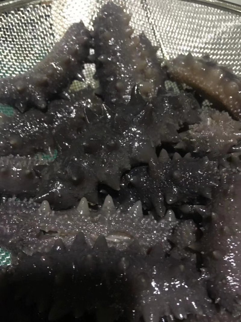 万福堂即食海参