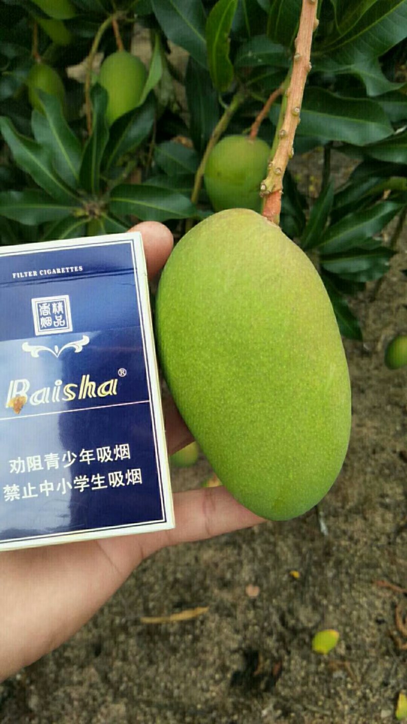 一手货源，果地实拍，欢迎各大水果收购商，电商平台，合作