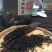 广东特产英德老树红茶（醇香型）