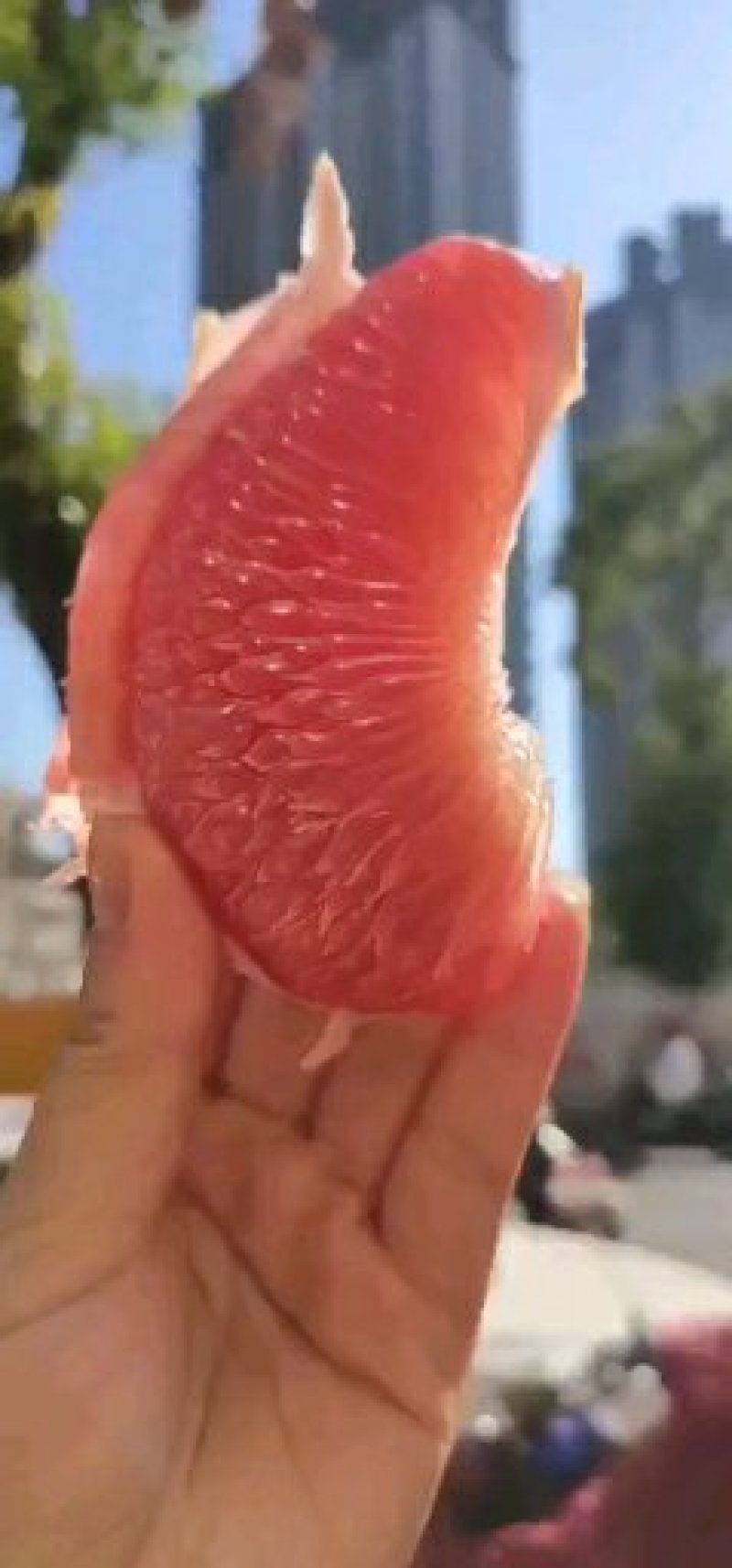《一件代发》江西广丰马家柚红心柚甜脆可口社区团购一件代发