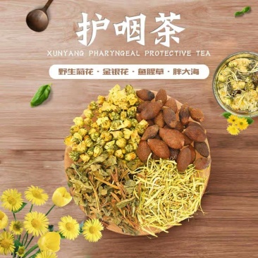护咽茶野菊花野金银花野鱼腥草胖大海组合花茶
