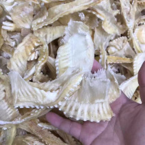 鱼翅边带翅针1斤