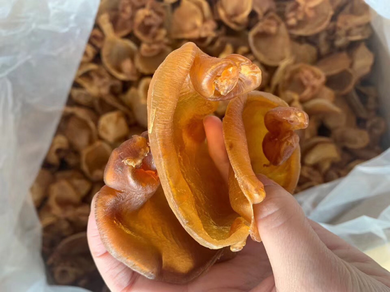老花胶黄花胶片1斤