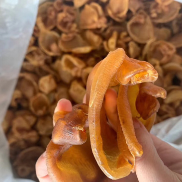 老花胶黄花胶片1斤