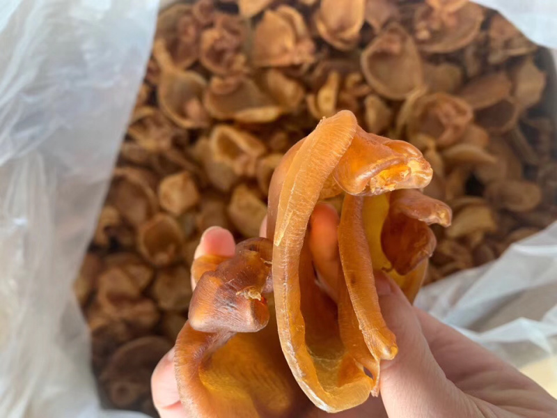 老花胶黄花胶片1斤