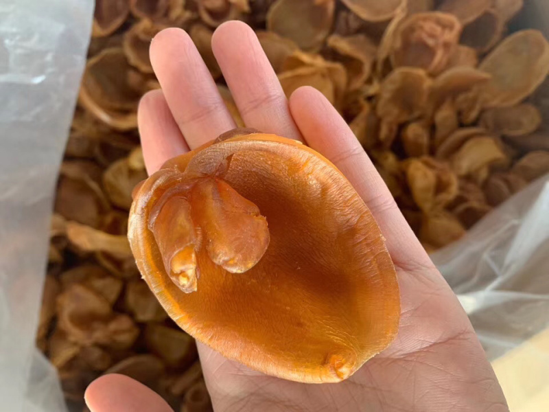 老花胶黄花胶片1斤